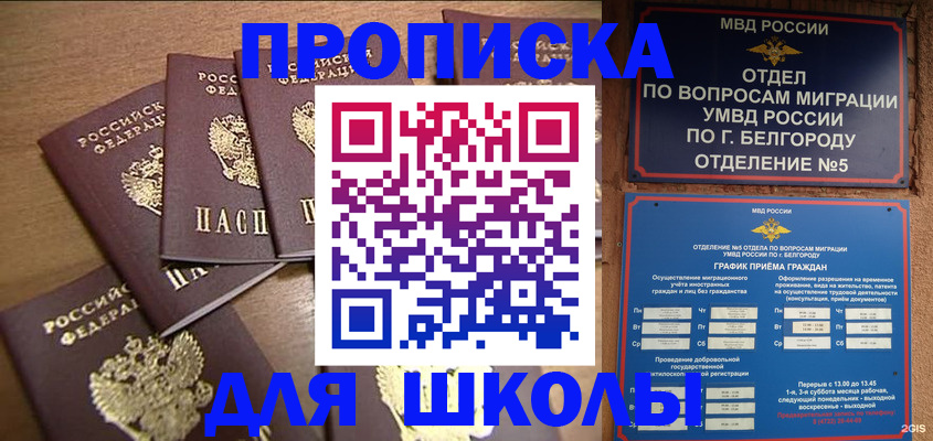 прописка гарантия в Купино